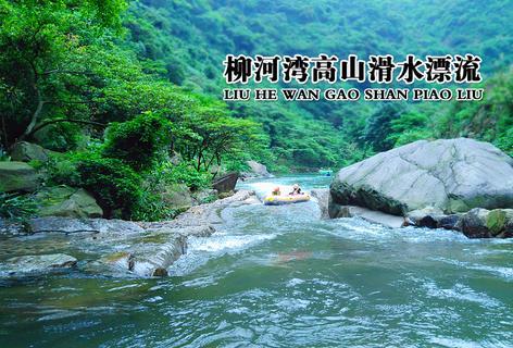 小恐龙来找茬